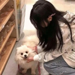英雄契约手游下载